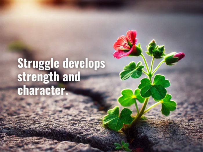 Usefully Quotes - Struggle