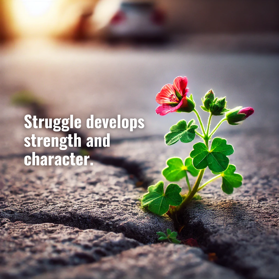 Usefully Quotes - Struggle